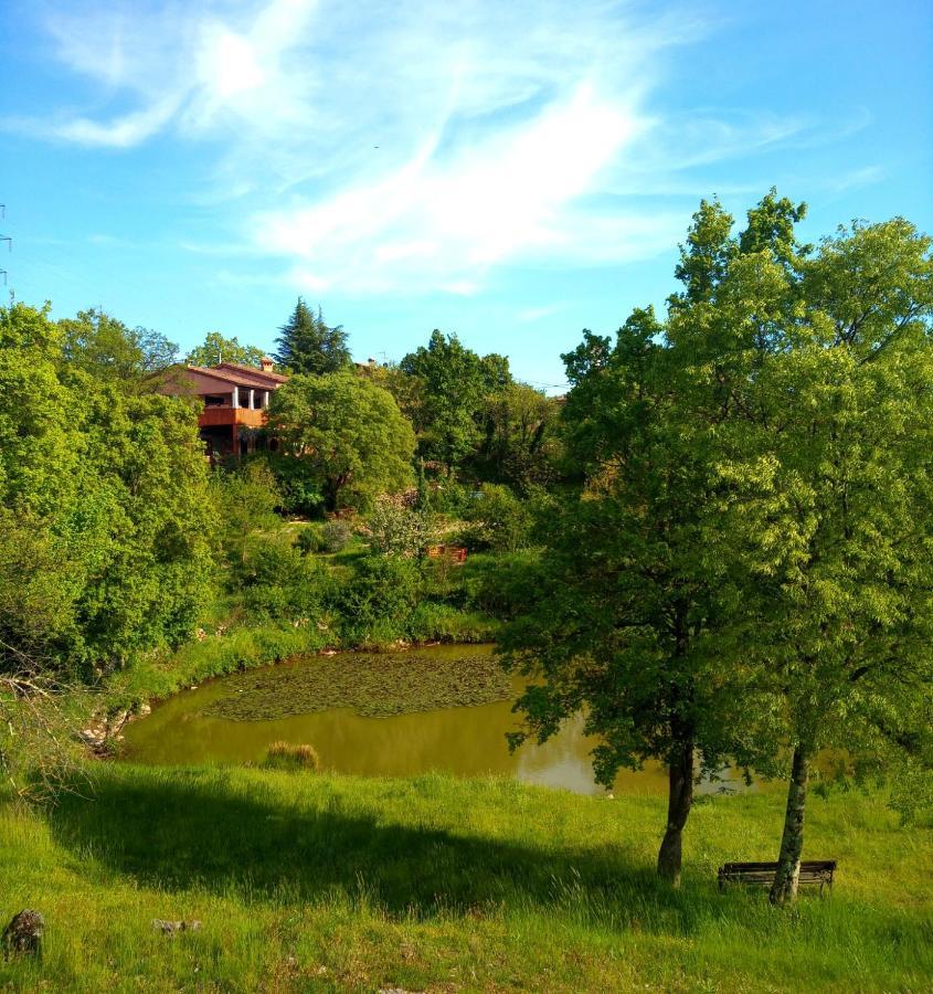 Apartman Krasberry